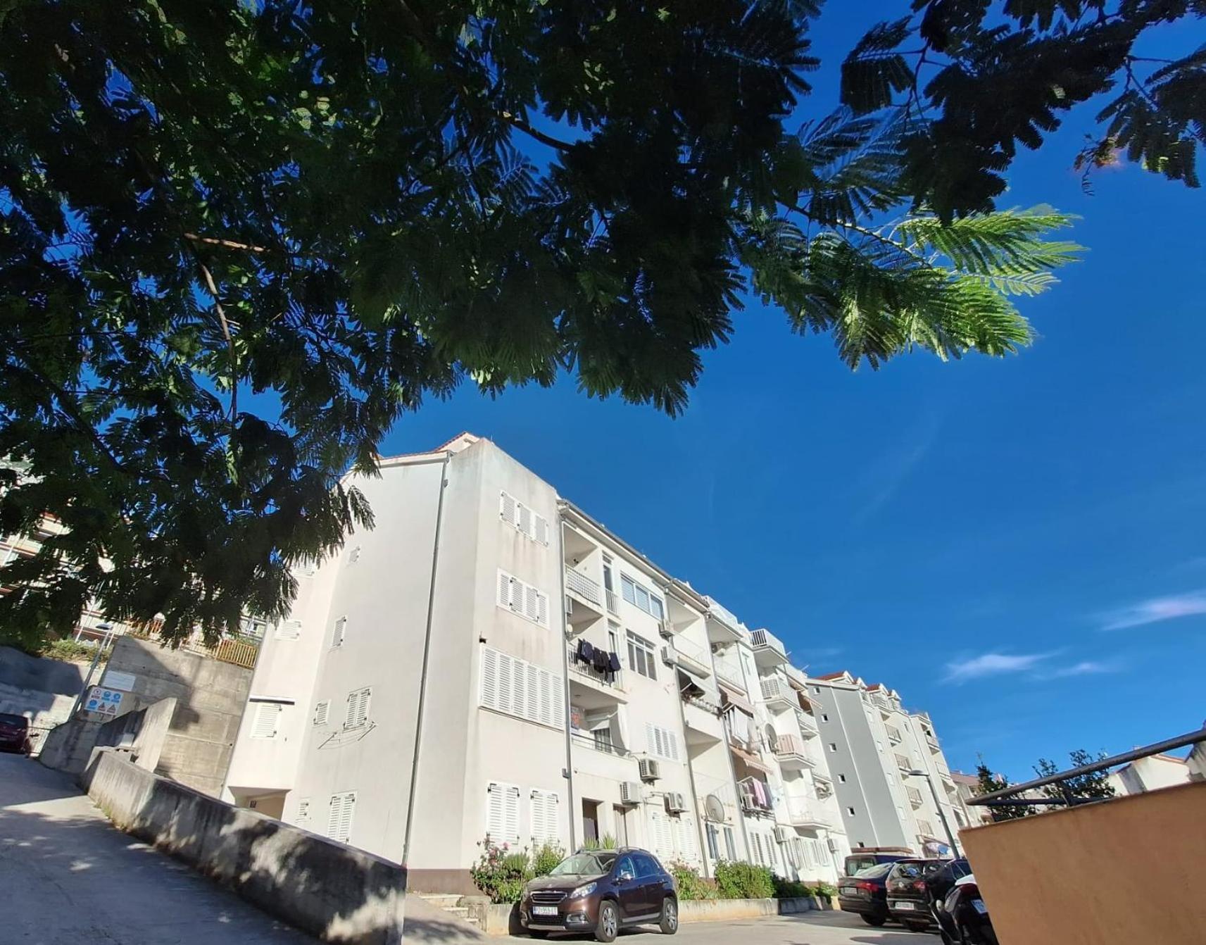 Apartment Neva